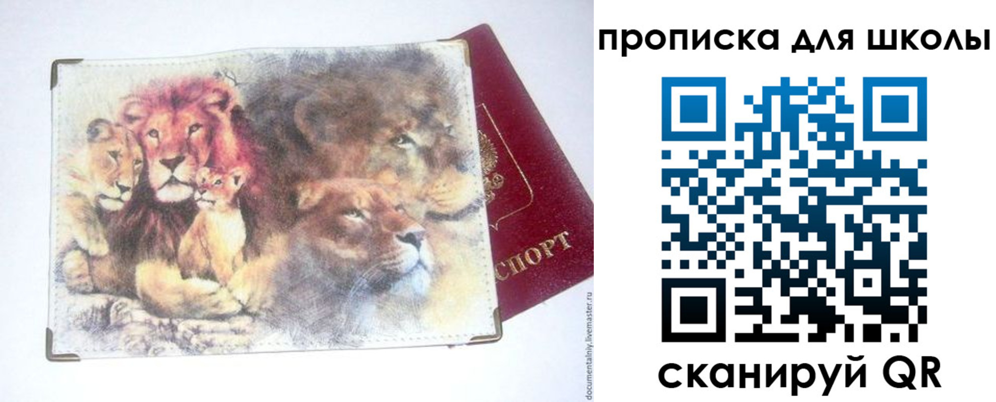 временная регистрация гарантия в Каргате